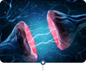 neura brain clarity result 1