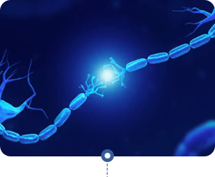 neura long-term cognitive support result 3